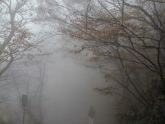 -紫金山山顶公园