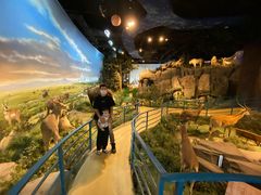 -陕西自然博物馆