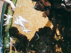 -太平洋海底世界