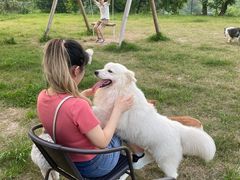 -趣多多宠物公园·宠物训犬学校·宠物寄养