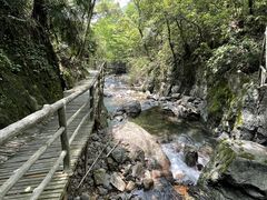 -东天目山风景区