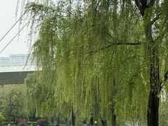 -南京眼步行桥