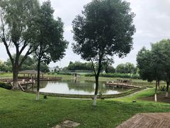 -太阳岛度假酒店