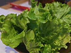 -杨记齐齐哈尔烤肉(总店)