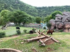 -无锡动物园·太湖欢乐园