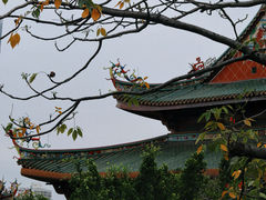 -南普陀寺
