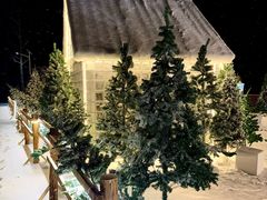 -洛阳白云山景区