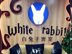 -白兔子密室(长寿路店)