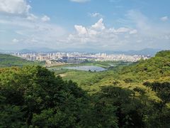 -风云岭森林公园