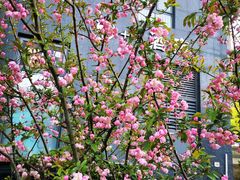 -小湘旺臭鳜鱼(百子湾店)