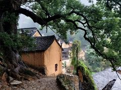 -杨家堂村