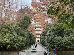 -灵谷景区