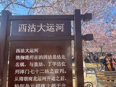 -桃花堤公园