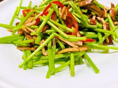 咸肉炒芦蒿-徽镇小厨·经典徽菜(十里河店)
