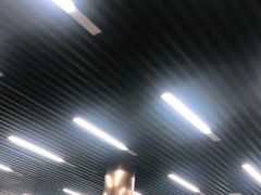 -回坊马二饺子馆