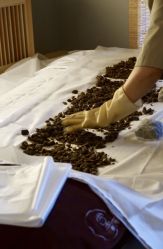 包房-姜美堂·蒸姜除湿の纤体美颜馆