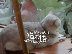 -咖法森林·咖啡  酒吧(天河店)