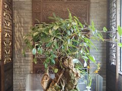 -鸢飞潍坊菜馆(鸢飞大酒店)