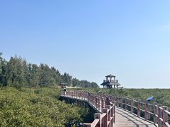 -北海金海湾红树林生态旅游区