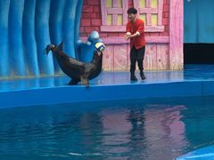 -华夏文旅海洋公园