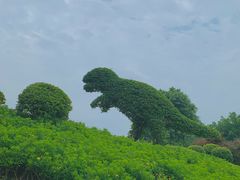 -铁山坪森林公园