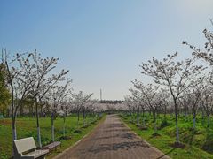 -上海海湾国家森林公园