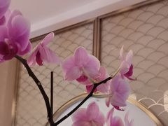 -杭州西湖柳莺里酒店·闻莺厅