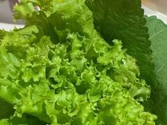 -韩盛源泥炉烤肉店(高深路店)