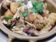 -潮信鱼头王(西环店)