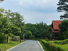 -东莞植物园