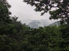 -黔灵山公园