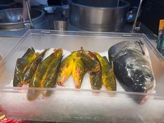 -鸽子窝(黄村店)