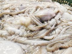 -天津金元宝滨海农产品交易市场(共发大道)