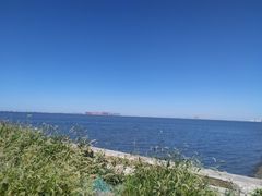 -天津妈祖文化园