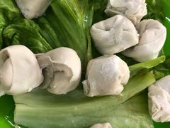 -蚝羊氣惠来羊肉火锅·高压锅生蚝