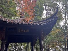 -东天目山风景区