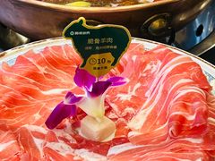 -阳坊胜利涮羊肉(阳坊老店)