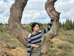 -亿利库布其七星湖沙漠生态旅游区