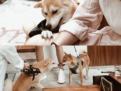 -Line 咖啡(石厦花园店)