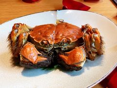 熟醉大闸蟹-新荣记(西溪湿地店)