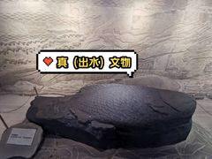 -白鹤梁水下博物馆