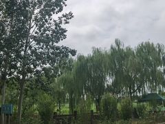 -西青郊野公园