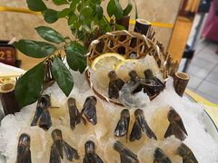 -花好悦园(瀛洲店)