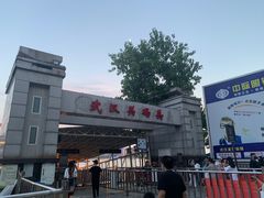 -武汉关码头(轮渡站)