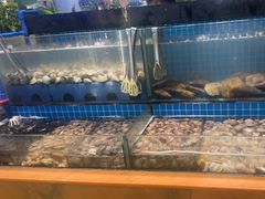 -鹿客臻鲜海鲜自助餐厅(永旺店)