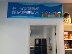 -特一安24小时宠物医院·骨科·中兽医