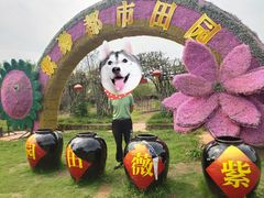 -武汉紫薇都市田园