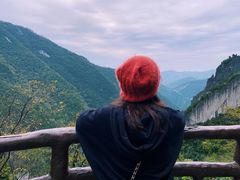 -武陵山森林公园