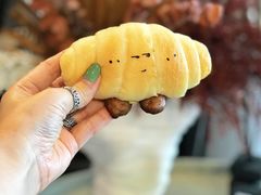 -美罗城