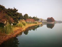 -阳澄湖费尔蒙酒店